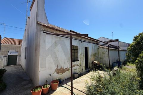 Villa i Abrantes, Santarem, Abrantes - € 148 500 | Ref: KWPT-026928 - foto 40