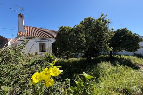 Villa i Abrantes, Santarem, Abrantes - € 148 500 | Ref: KWPT-026928 - foto 41
