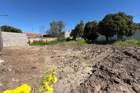 Villa i Abrantes, Santarem, Abrantes - € 148 500 | Ref: KWPT-026928 - foto 42