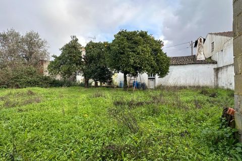 Villa i Abrantes, Santarem, Abrantes - € 148 500 | Ref: KWPT-026928 - foto 11