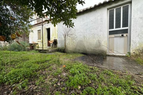 Villa i Abrantes, Santarem, Abrantes - € 148 500 | Ref: KWPT-026928 - foto 25
