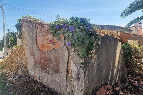 Helårsgrund i Rio Maior, Santarem, Rio Maior - € 44.000 | Ref: 121331002-4006 - foto 2