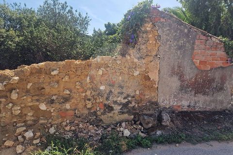 Helårsgrund i Rio Maior, Santarem, Rio Maior - € 44.000 | Ref: 121331002-4006 - foto 4