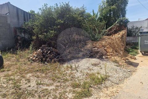Helårsgrund i Rio Maior, Santarem, Rio Maior - € 44.000 | Ref: 121331002-4006 - foto 5