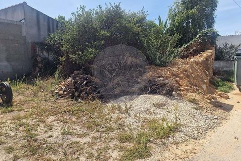 Helårsgrund i Rio Maior, Santarem, Rio Maior - € 44.000 | Ref: 121331002-4006 - foto 7