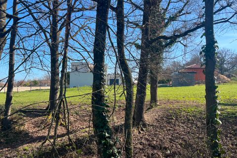 Terra a Poncins, Loire, Poncins - € 76.500 | Ref: 02T26CDLP - foto 2