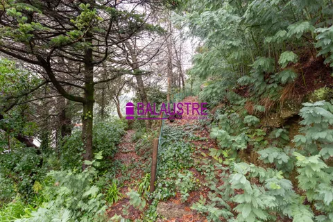 Villa i Terras de Bouro, Braga, Terras de Bouro - € 750.000 | Ref: BA-MO 388 - foto 5