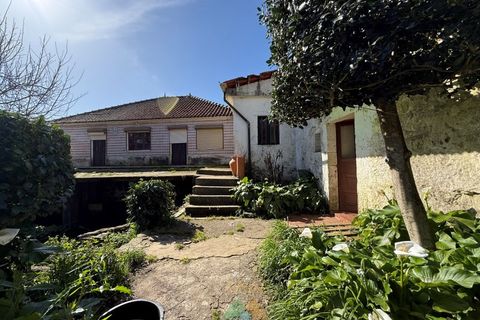Farm i Barcelos, Braga, Barcelos - € 430.000 | Ref: PTL-004-134 - foto 3