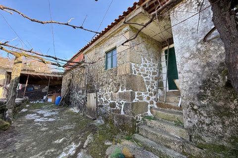 Farm i Barcelos, Braga, Barcelos - € 430.000 | Ref: PTL-004-134 - foto 4