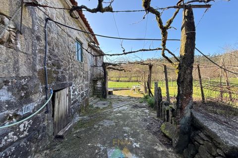 Farm i Barcelos, Braga, Barcelos - € 430.000 | Ref: PTL-004-134 - foto 5
