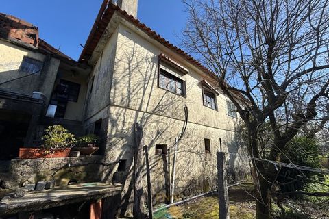 Farm i Barcelos, Braga, Barcelos - € 430.000 | Ref: PTL-004-134 - foto 6