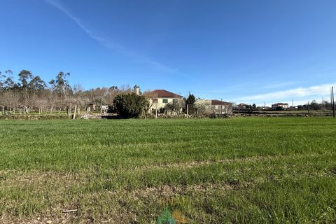 Farm i Barcelos, Braga, Barcelos - € 430.000 | Ref: PTL-004-134 - foto 7