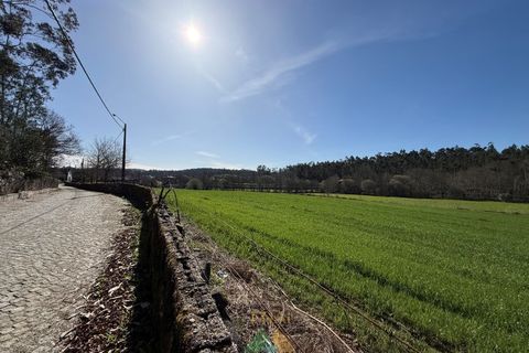 Farm i Barcelos, Braga, Barcelos - € 430.000 | Ref: PTL-004-134 - foto 8