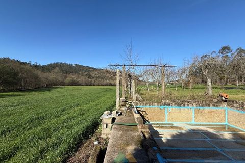 Farm i Barcelos, Braga, Barcelos - € 430.000 | Ref: PTL-004-134 - foto 10