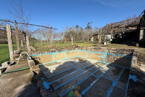 Farm i Barcelos, Braga, Barcelos - € 430.000 | Ref: PTL-004-134 - foto 11