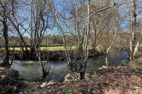 Farm i Barcelos, Braga, Barcelos - € 430.000 | Ref: PTL-004-134 - foto 12