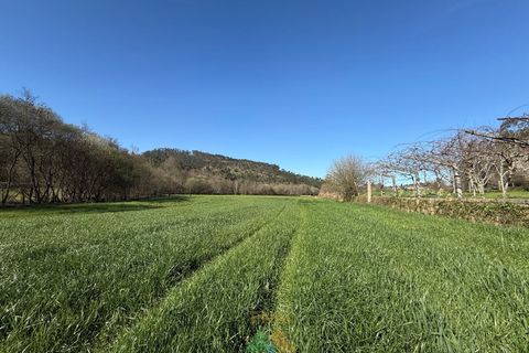 Farm i Barcelos, Braga, Barcelos - € 430.000 | Ref: PTL-004-134 - foto 13