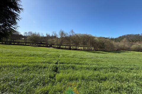 Farm i Barcelos, Braga, Barcelos - € 430.000 | Ref: PTL-004-134 - foto 15