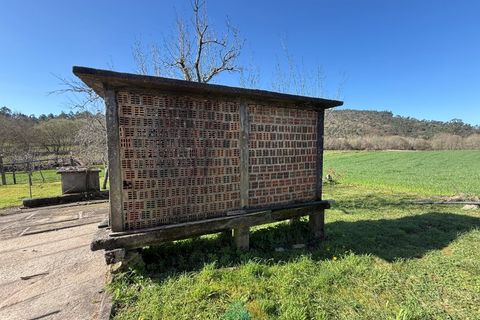 Farm i Barcelos, Braga, Barcelos - € 430.000 | Ref: PTL-004-134 - foto 17