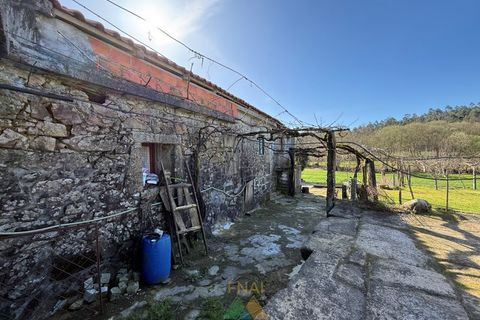 Farm i Barcelos, Braga, Barcelos - € 430.000 | Ref: PTL-004-134 - foto 18