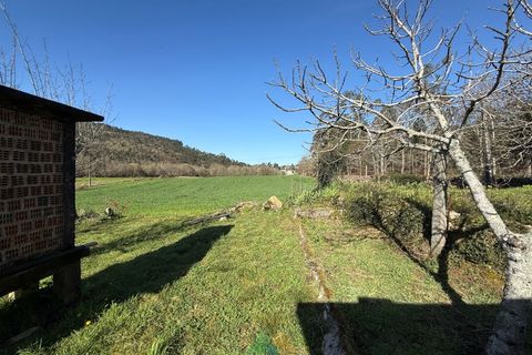 Farm i Barcelos, Braga, Barcelos - € 430.000 | Ref: PTL-004-134 - foto 19