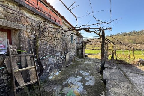 Farm i Barcelos, Braga, Barcelos - € 430.000 | Ref: PTL-004-134 - foto 20