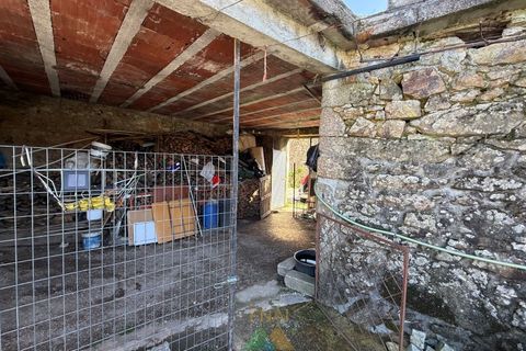 Farm i Barcelos, Braga, Barcelos - € 430.000 | Ref: PTL-004-134 - foto 22