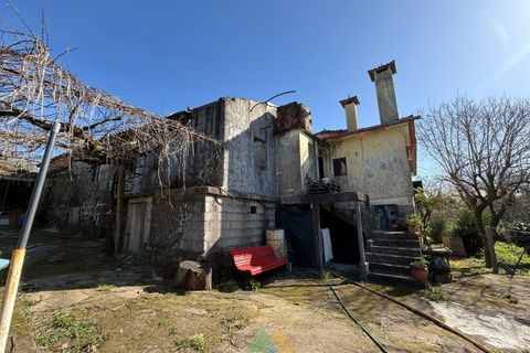 Farm i Barcelos, Braga, Barcelos - € 430.000 | Ref: PTL-004-134 - foto 24