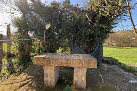 Farm i Barcelos, Braga, Barcelos - € 430.000 | Ref: PTL-004-134 - foto 26