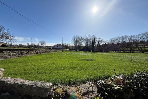 Farm i Barcelos, Braga, Barcelos - € 430.000 | Ref: PTL-004-134 - foto 27