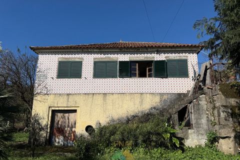 Farm i Barcelos, Braga, Barcelos - € 430.000 | Ref: PTL-004-134 - foto 28