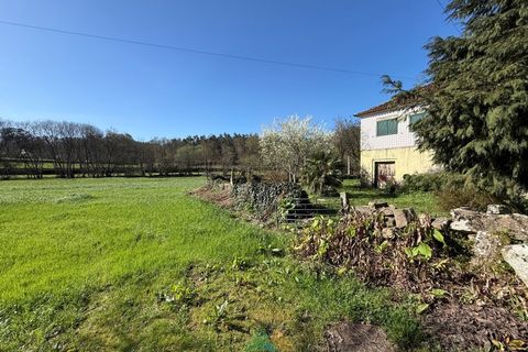 Farm i Barcelos, Braga, Barcelos - € 430.000 | Ref: PTL-004-134 - foto 29