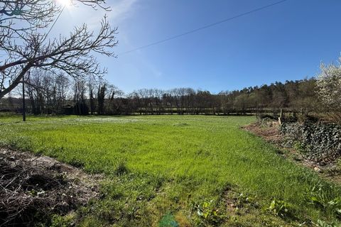 Farm i Barcelos, Braga, Barcelos - € 430.000 | Ref: PTL-004-134 - foto 30