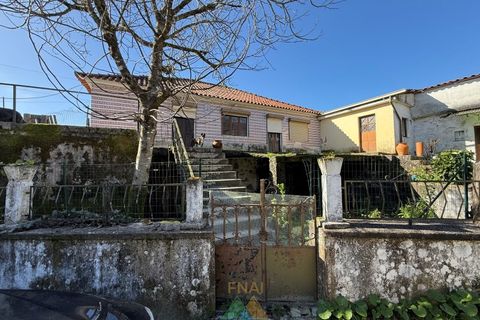 Farm i Barcelos, Braga, Barcelos - € 430.000 | Ref: PTL-004-134 - foto 31