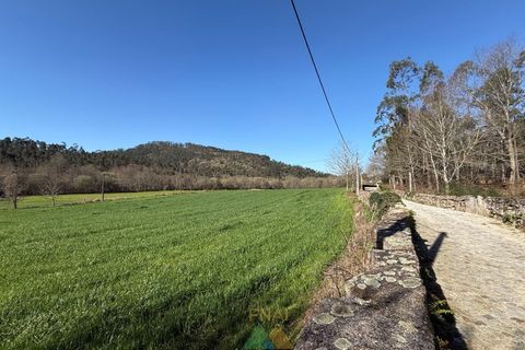 Farm i Barcelos, Braga, Barcelos - € 430.000 | Ref: PTL-004-134 - foto 34