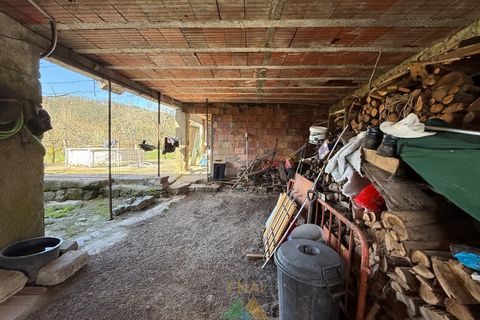 Farm i Barcelos, Braga, Barcelos - € 430.000 | Ref: PTL-004-134 - foto 35