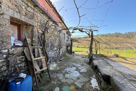 Farm i Barcelos, Braga, Barcelos - € 430.000 | Ref: PTL-004-134 - foto 37
