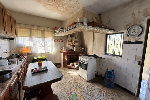 Farm i Barcelos, Braga, Barcelos - € 430.000 | Ref: PTL-004-134 - foto 40
