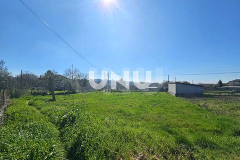 Terra a Abraveses, Viseu, Abraveses - € 85.000 | Ref: UNU.I.1859.15002 - foto 2