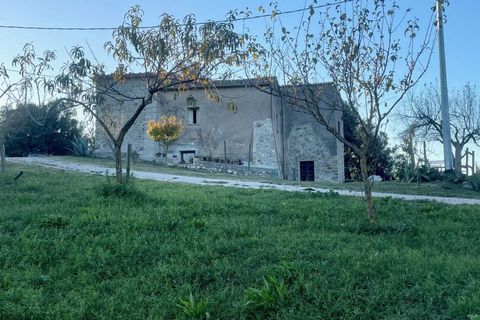 Villa i Baschi, Terni, Baschi - € 380.000 | Ref: OR6220M-944694 - foto 8