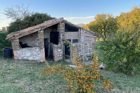 Villa i Baschi, Terni, Baschi - € 380.000 | Ref: OR6220M-944694 - foto 9