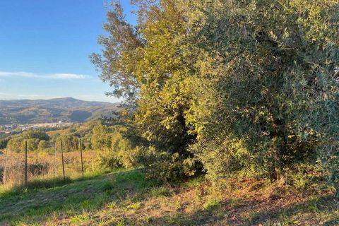 Villa i Baschi, Terni, Baschi - € 380.000 | Ref: OR6220M-944694 - foto 24
