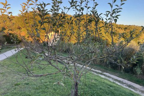Villa i Baschi, Terni, Baschi - € 380.000 | Ref: OR6220M-944694 - foto 29