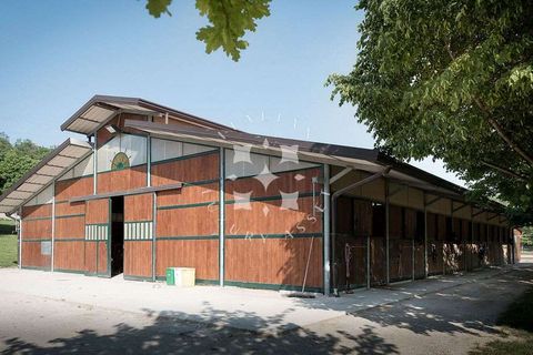 Villa a Pesaro, Pesaro and Urbino, Pesaro - € 1.250.000 | Ref: ila-573-945455 - foto 23