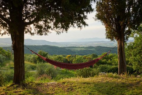 Farm hus i Lajatico, Pisa, Lajatico - € 830.000 | Ref: 1313-945456 - foto 6