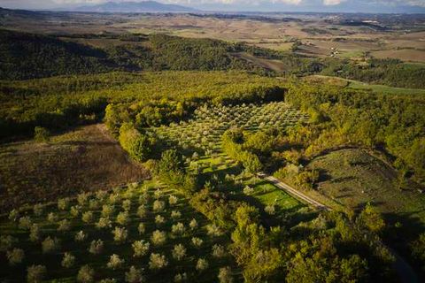 Farm hus i Lajatico, Pisa, Lajatico - € 830.000 | Ref: 1313-945456 - foto 7