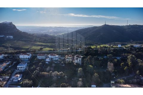Villa a Palmela, Setubal, Palmela - € 1.380.000 | Ref: 10175 - foto 2