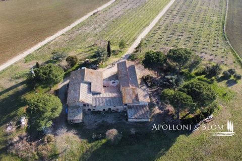 Villa i Pienza, Siena, Pienza - € 1.700.000 | Ref: VAL2787-962466 - foto 19