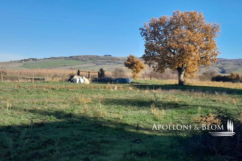 Villa i Pienza, Siena, Pienza - € 1.700.000 | Ref: VAL2787-962466 - foto 30