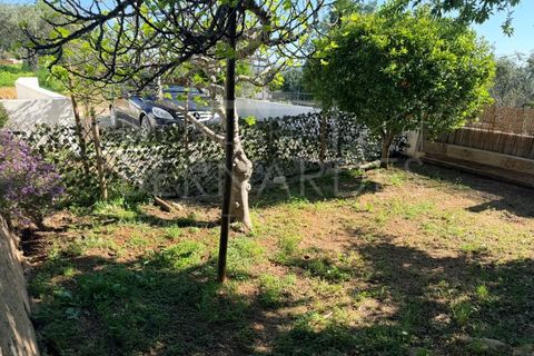 Landejendom i Moncarapacho, Faro, Moncarapacho - € 500.000 | Ref: A5131 - foto 18